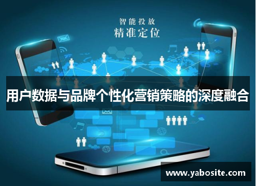 用户数据与品牌个性化营销策略的深度融合